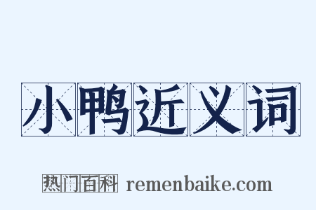 小鸭近义词是什么意思的图片